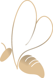 Die Bienenstöcke